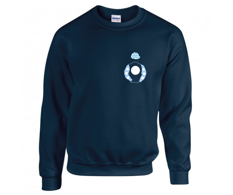 Future Champions Racing Mini Silks