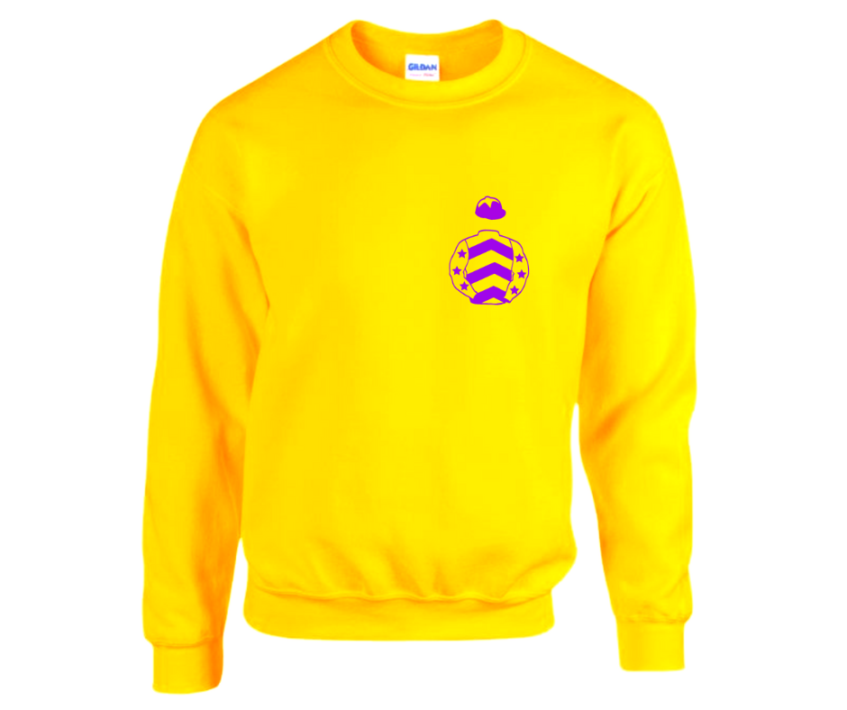 Barraston Racing Mini Silks