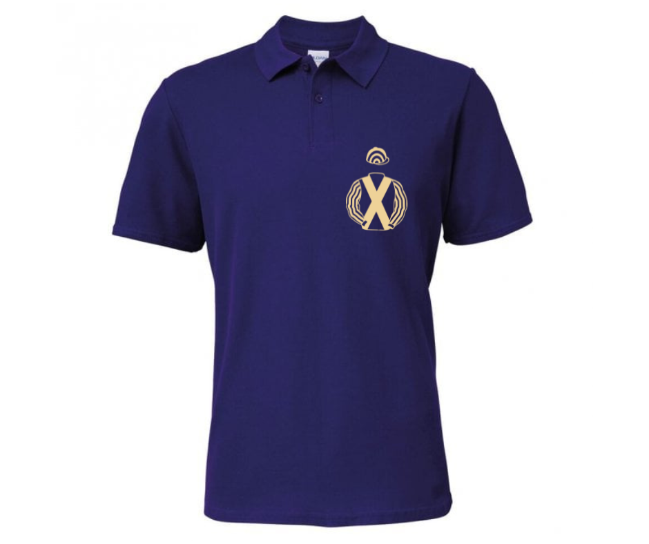 Somerset Racing Mini Silks