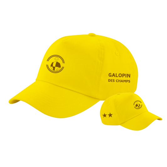 Galopin Des Champs Cheltenham Gold Cup Cap
