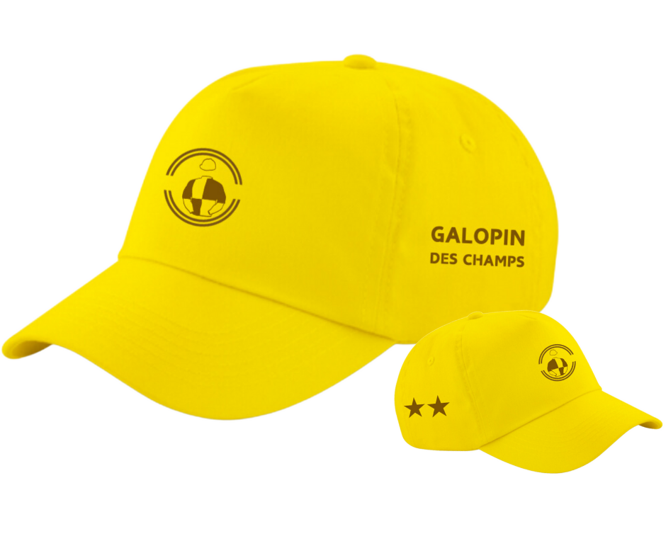 Galopin Des Champs Cheltenham Gold Cup Cap