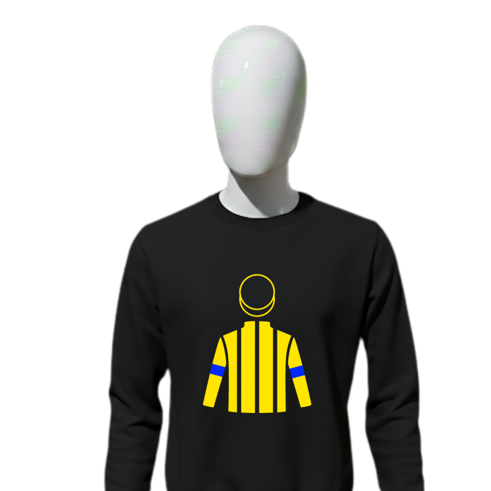 SHADAI RACE HORSE CO LTD