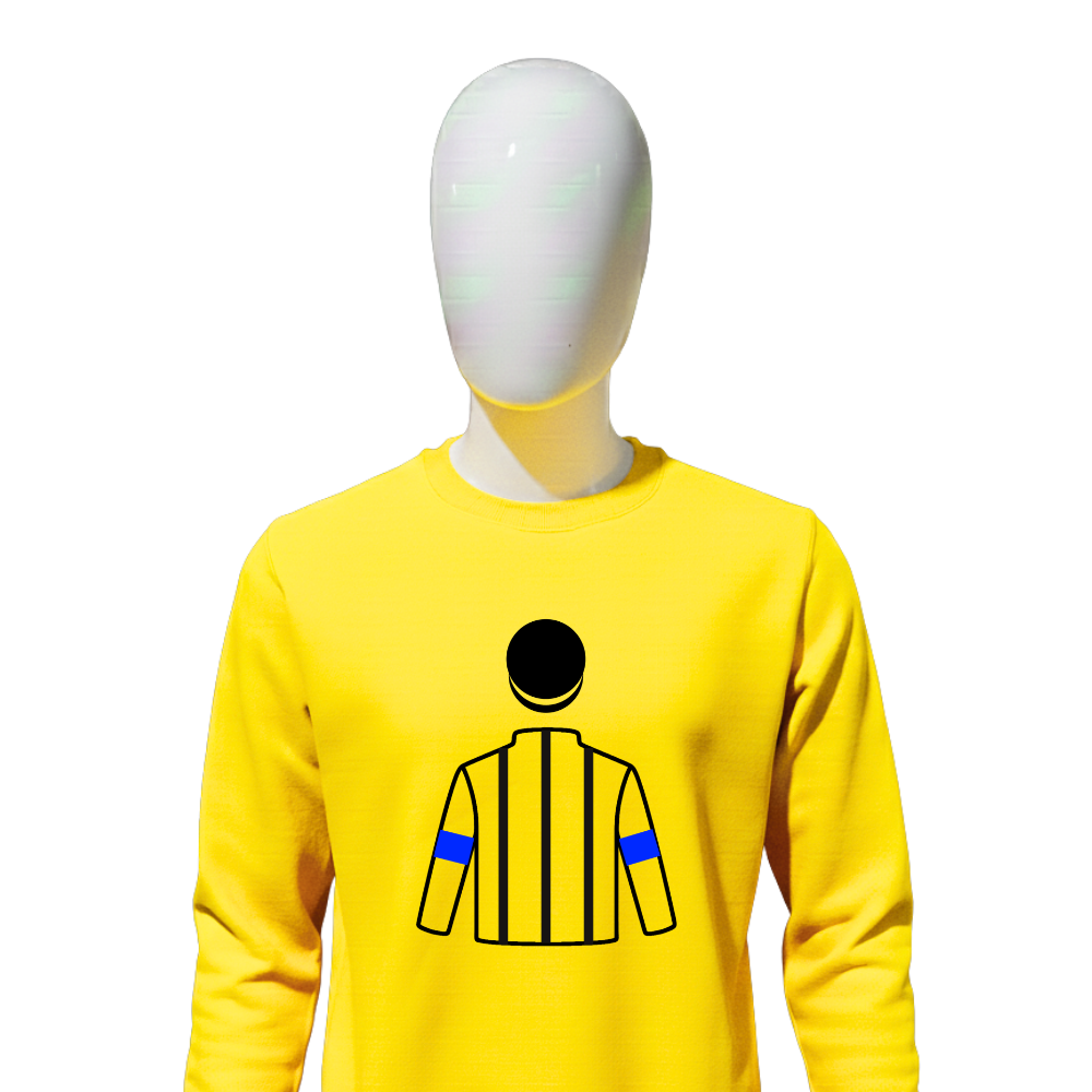 SHADAI RACE HORSE CO LTD