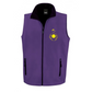 Cottier, Racing Breaks & Old Gold Racing Mini Silks