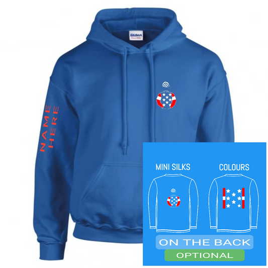 Dallas Racing Mini Silks