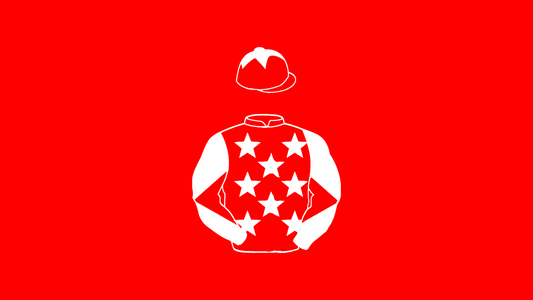 D.Bainbridge Big Silks