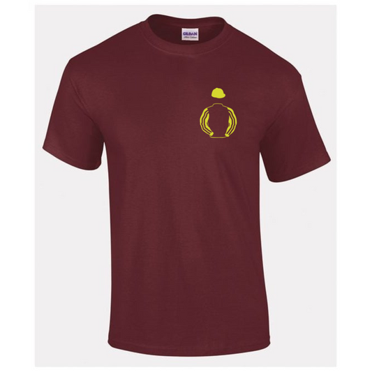 Fellowship Racing Mini Silks