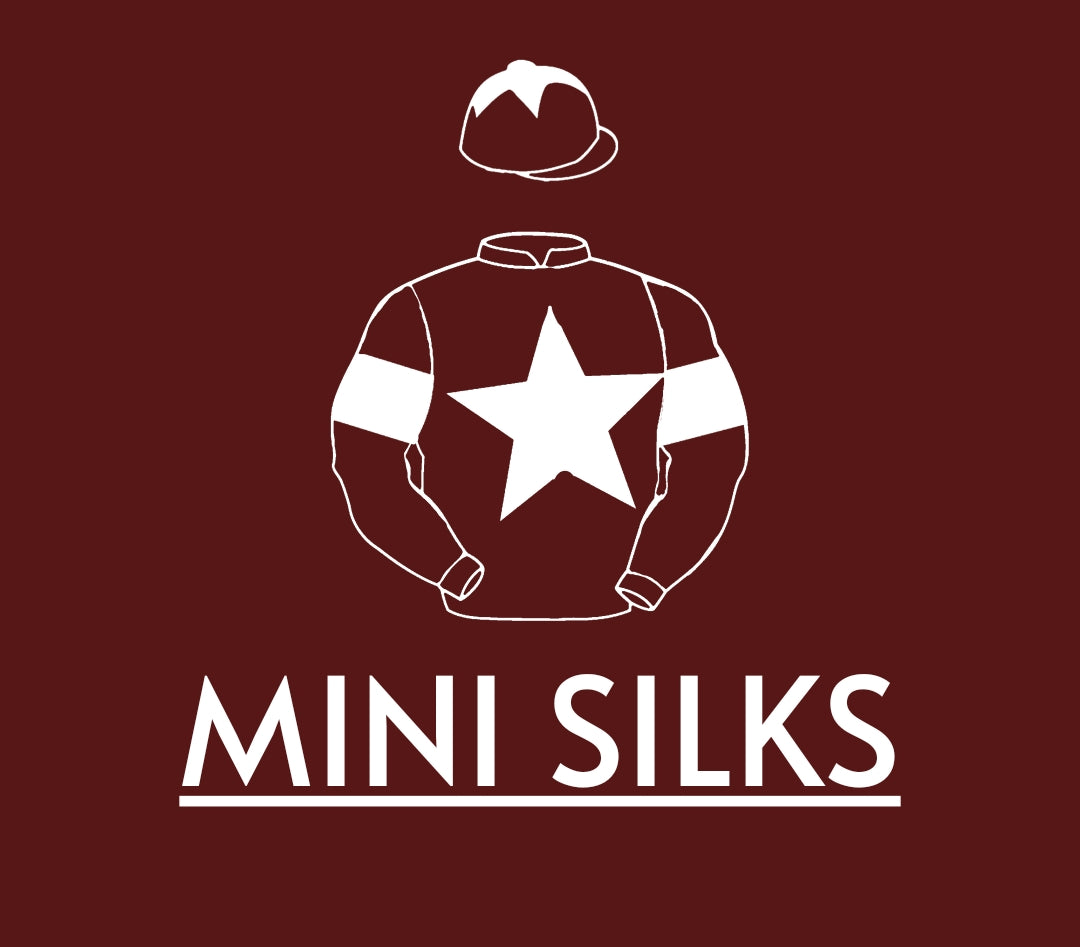 Gigginstown Mini Silks