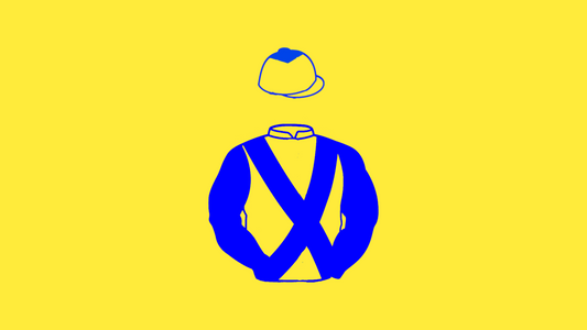 Brides Hill Syndicate Big Silks