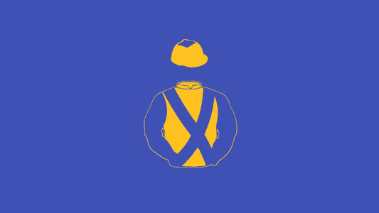 Brides Hill Syndicate Big Silks